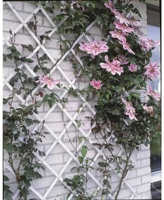Nature Καφασωτό Κήπου Λευκό 100 x 200 εκ. από PVC 6040703 - Λευκό