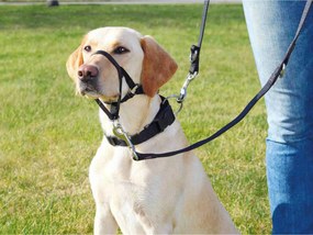 Οδηγός για σκύλο Trixie Top Trainer Μαύρο L/XL