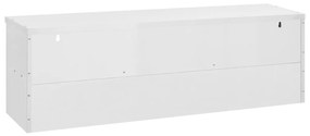 vidaXL Ερμάριο Τοίχου 150 x 40 x 50 εκ. Ανοξείδωτο Ατσάλι