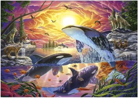 Παζλ Educa Orcas y Lobos 4000 Τεμάχια