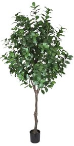 MarHome ΔΕΝΤΡΟ ΔΑΦΝΗ ΠΡΑΣΙΝΟ TEXNHTO ΣΕ ΓΛΑΣΤΡΑ - Y220cm 2/ΚΙΒ  04-24120