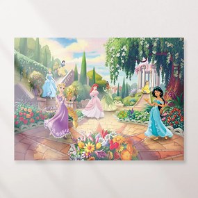 Παιδικός πίνακας σε καμβά Πριγκίπισσες Disney KNV0592 30cm x 40cm