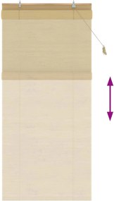 vidaXL Ρόλερ (στόρι) Φυσικό 100 x 220 cm Μπαμπού