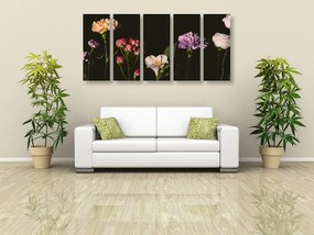 Εικόνα 5 μερών κομψά λουλούδια σε σκούρο φόντο
