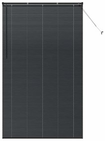 vidaXL Ρολό Παραθύρου με κουρτίνες Άλλο Μαύρο 135 x 220 εκ. Αλουμίνιο