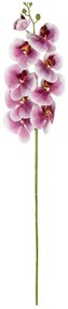 Τεχνητό Λουλούδι Orchid 21407 95cm Pink GloboStar Πολυαιθυλένιο