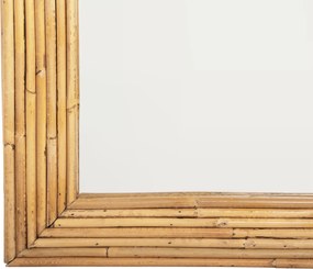 ΚΑΘΡΕΠΤΗΣ ΤΟΙΧΟΥ REFLECT HM4366 ΦΥΣΙΚΟ RATTAN 61x5x80Υεκ.