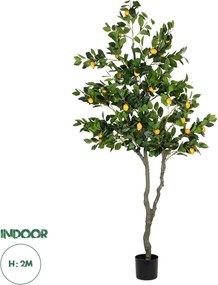 GloboStar® Artificial Garden LEMON TREE 21106 Τεχνητό Διακοσμητικό Δέντρο Λεμονιά Υ200cm