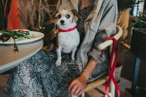 Κολλάρο Σκύλου Hunter Convenience 53-61 cm L/XL Φούξια