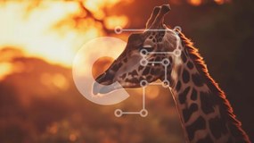 Σετ των 2 Intra Συλλεκτικό Ξύλινο Παζλ Plywood 4mm - Καμηλοπάρδαλη στο δάσος στο ηλιοβασίλεμα Σε Ξύλινο Κουτί - Διαστάσεις: 10x10 cm – 25 κομμάτια