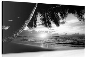 Ασπρόμαυρη εικόνα της ανατολής του ηλίου σε μια παραλία της Καραϊβικής