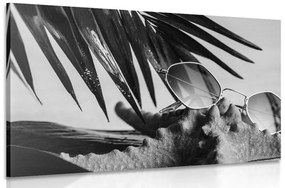 Εικόνα γυαλιών ηλίου σε κοχύλι σε μαύρο & άσπρο - 120x80