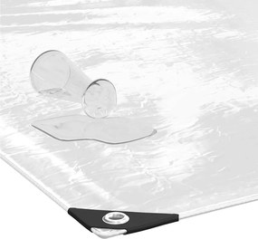 vidaXL Σαφής μουσαμάς με οπές 2x3 m PVC