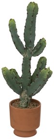 Τεχνητό Φυτό Σε Γλάστρα (Φ19x49) A-S Cactus 189102