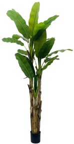 Τεχνητο Δέντρο Μπανάνα 5690-6 240cm Green Supergreens Wood