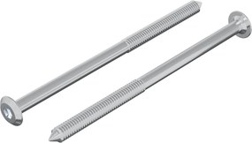 vidaXL Βίδα 2 pcs Ασημί M6 x 100 χιλ. Ατσάλι
