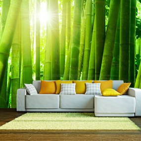 Φωτοταπετσαρία - Sun and bamboo 200x154