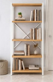 Stewehome Βιβλιοθήκη με 5 ράφια από μέταλλο και ντουλάπι (25 cm) 52x25x150 cm