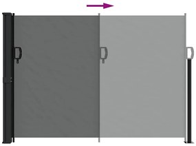 vidaXL Πτυσσόμενη Πλαϊνή Τέντα Ανθρακί 140x500 εκ.