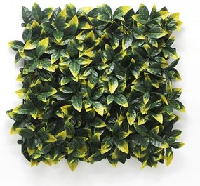 Διακοσμητικός πάνελ φυλλωσιάς Berlin 50x50cm A017 Photinia