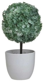 Διακοσμητικό Φυτό Σε Γλαστράκι 3-85-311-0007 Φ12x25cm Green-White Inart Plastic