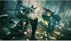 Βιντεοπαιχνίδι PlayStation 5 Sony Nioh Collection (FR)