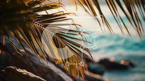 Intra Συλλεκτικό Ξύλινο Παζλ Plywood  4mm - Palm Tree by the Ocean with Rocks on the Beach Σε Ξύλινο Κουτί - Διαστάσεις: 10x10 cm – 25 κομμάτια