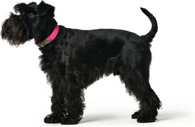 Κολλάρο Σκύλου Hunter Convenience 47-55 cm Φούξια L