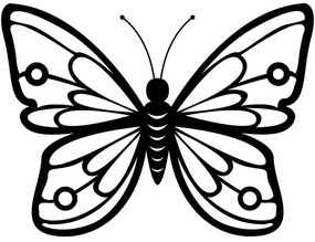 Διακοσμητικό Τοίχου Butterfly 891TNL1754 60x45cm Black Wallity Metal