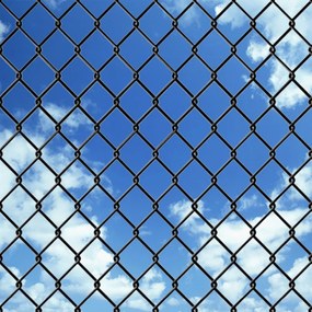 vidaXL Συρματόπλεγμα Περίφραξης Γκρι 0,8 x 25 μ. με Καρφωτές Βάσεις