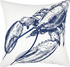 Διακοσμητικό Μαξιλάρι (45x45) S-F Shellfish Navy C0D079002