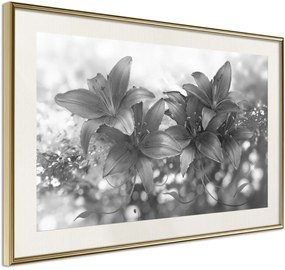 Αφίσα - Dark Lillies - 30x20 - Χρυσό - Με πασπαρτού