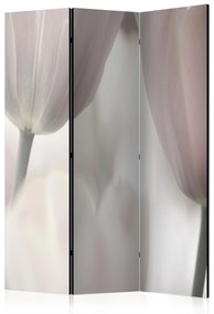 Διαχωριστικό με 3 τμήματα - Tulips fine art - black and white [Room Dividers]