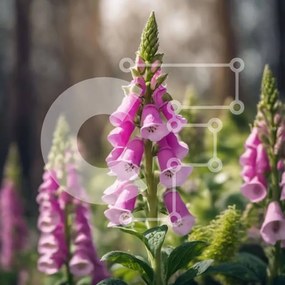 Intra Συλλεκτικό Ξύλινο Παζλ Plywood  4mm - Ροζ Foxglove λουλούδια στο δάσος Σε Ξύλινο Κουτί - Διαστάσεις: 10x10 cm – 25 κομμάτια