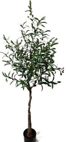 New plan OLIVE TREE NP4817_160_22 ΥΨΟΣ 160cm Τεμαχιο