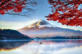 Φωτογραφία Fuji Mountain in Autumn, DoctorEgg