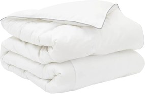 vidaXL Σετ Παπλωμάτων 2 τμχ. 155 x 200 cm Όλες οι εποχές Μπαμπού Λευκό