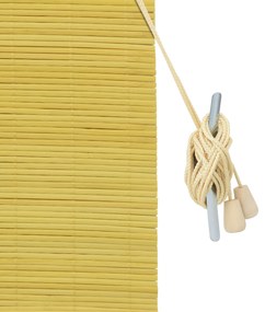 vidaXL Ρολά και Σκίες Παραθύρων Κίτρινο 60 x 160 εκ. Μπαμπού