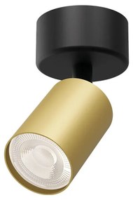 Φωτιστικό Σποτ Braytron BH04-00806 Χρυσό Ματ (Gold Mat- Satin)