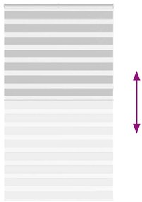 ΖΕΒΡΑ ΤΥΦΛΗ ΑΝΟΙΧΤΟ ΓΚΡΙ ΠΛΑΤΟΣ ΥΦΑΣΜΑΤΟΣ 120,9 ΕΚ. ΠΟΛΥΕΣΤΕΡΑΣ 4014500