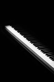 Φωτογραφία piano keys isolated on white, Natalya Sergeeva