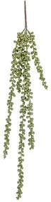 Τεχνητό Φυτό Bean Leave PT3645 60cm Green Present Time Plastic