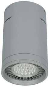 Σποτ Οροφής VK/04053CE/G/L 12x19cm 1xGU10 50W Grey VKLed