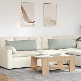 vidaXL Μαξιλάρι Καναπέ 2 pcs Ανοιχτό γκρι 120 x 40 cm