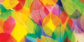Φύλλα εικόνας σε φθινοπωρινά χρώματα