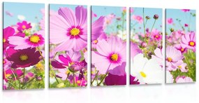5 μέρη εικόνα λιβάδι ανοιξιάτικα λουλούδια - 100x50