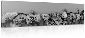 Εικόνα ανθισμένα λουλούδια σε μαύρο και άσπρο - 120x40