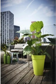 Βάζο Λουλουδιών Elho Γκρι Στρογγυλή Ø 35 cm