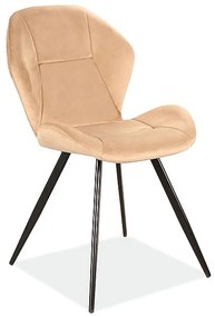 80-1954 Επενδυμένη καρέκλα Ginger 51x41x85 μαύρος μεταλλικός σκελετός/μπεζ βελούδο bluvel 28 DIOMMI GINGERVCBE, 1 Τεμάχιο