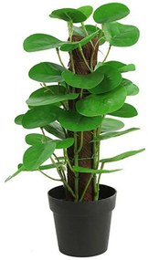 Τεχνητό Φυτό Σε Κασπώ Φυλλόδενδρο 013.787819 35cm Multi-Green